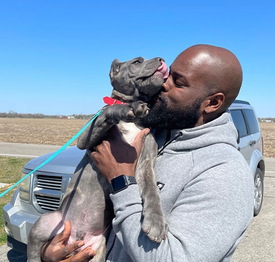 Cane corso Puppy lover